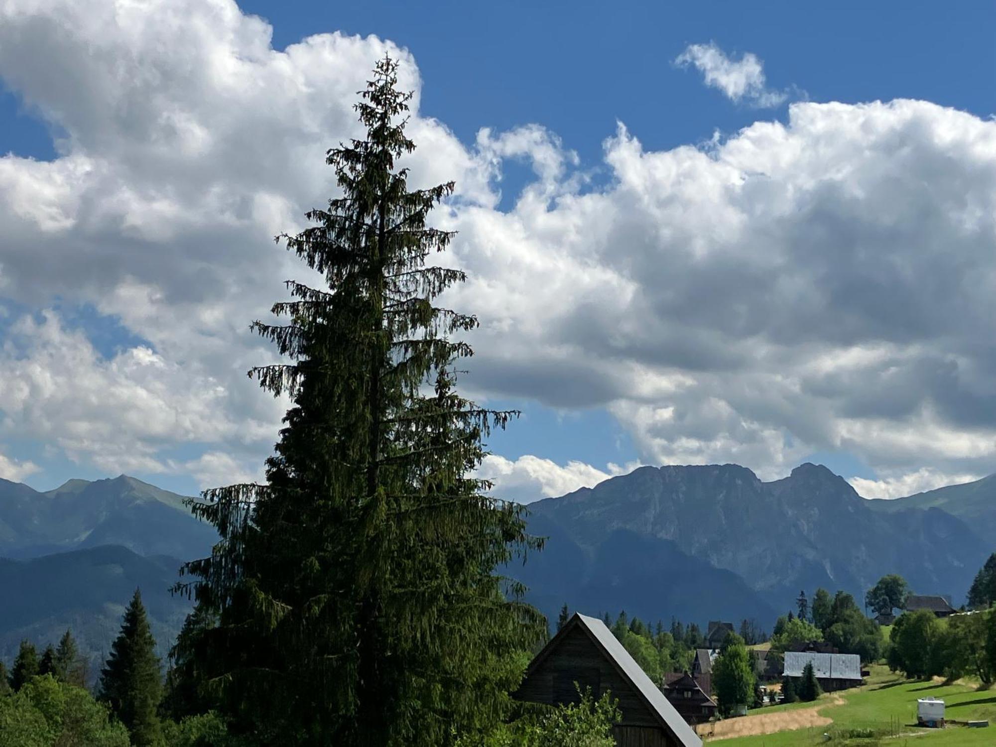 Hotel Mala Bawaria Zakopane Exteriér fotografie