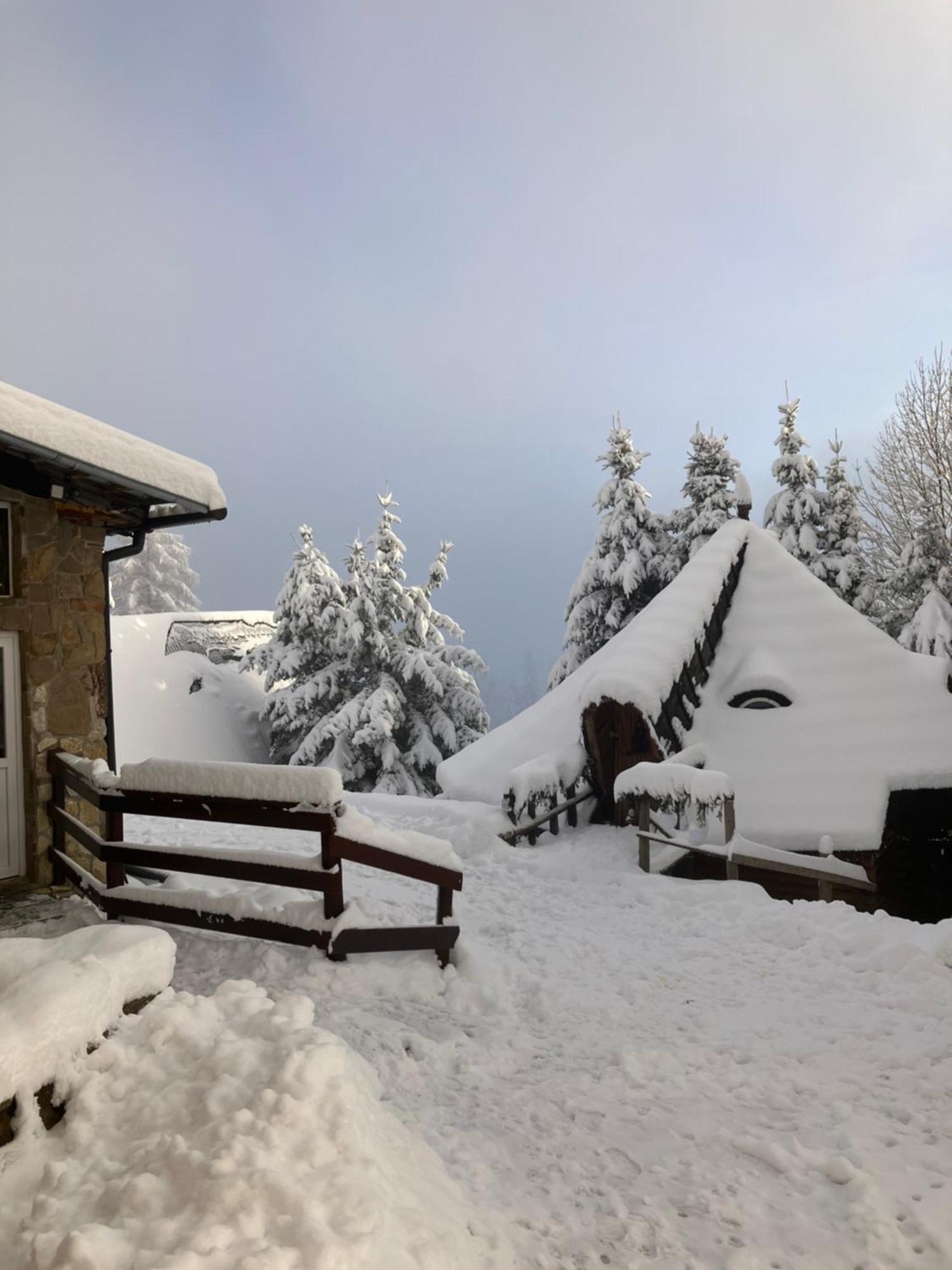 Hotel Mala Bawaria Zakopane Exteriér fotografie